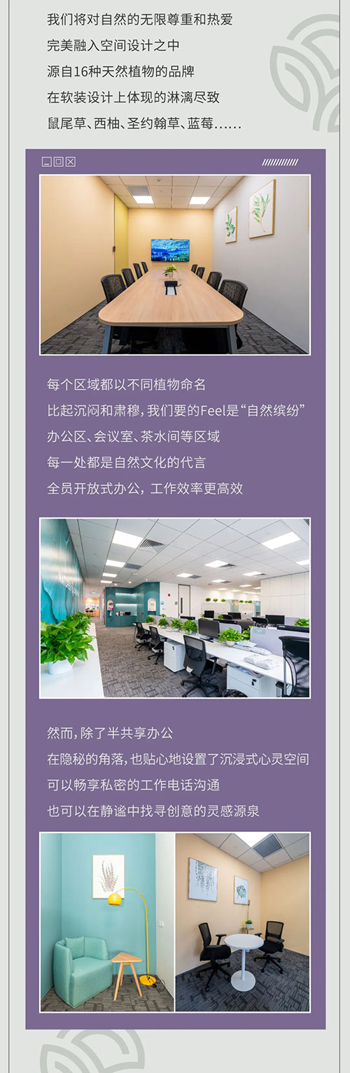 把自然和阳光装在心中，自然阳光搬新家啦！插图2