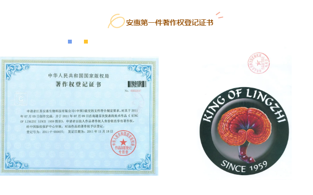 安惠企业馆里的小秘密丨知识产权领域的“第一”