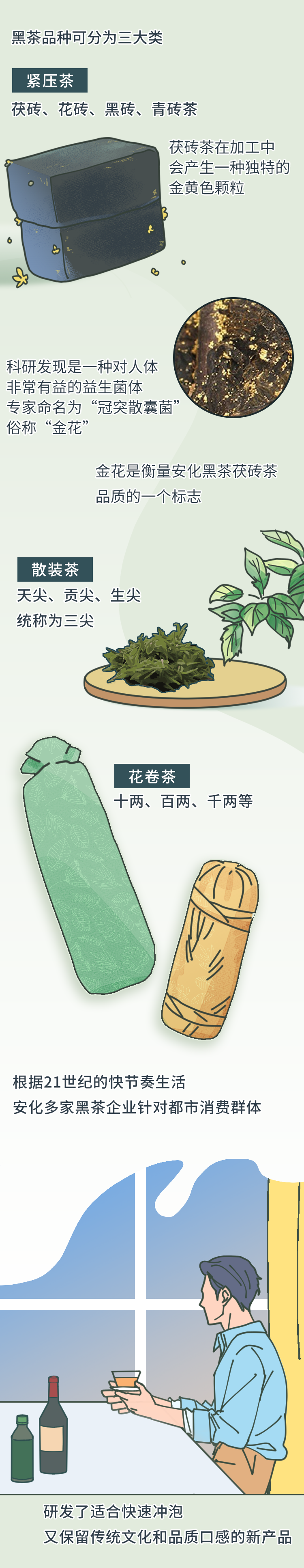 条漫|黑茶:从茶马古道进击迪拜高塔插图4