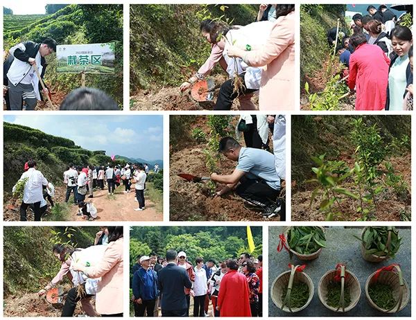 1653375648441156.jpg 23.jpg