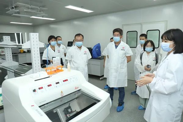 国际欧亚科学院院士陈士林一行调研康美药业插图1