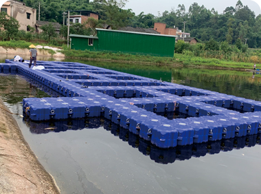 網(wǎng)箱養(yǎng)殖