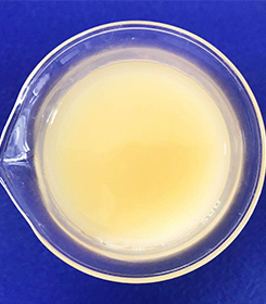 聚谷氨酸全水溶
