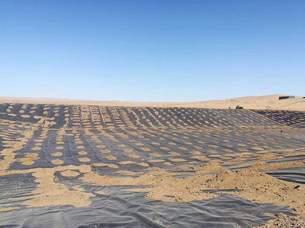 ΢ňDƬ_20200322085346.jpg