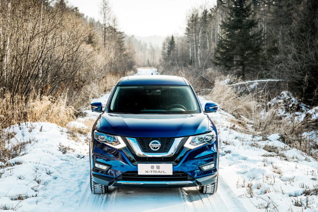 1609292702928486.jpg 9.jpg