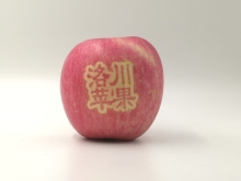 貼字款