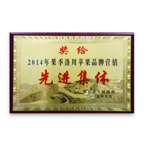 先進集體