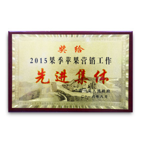先進集體