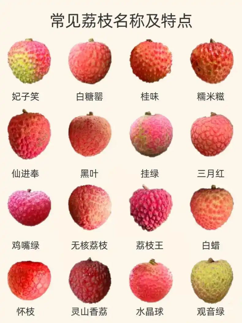 ΢ͼƬ_20250624153627.png