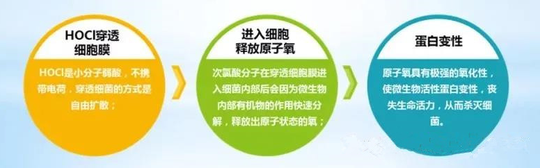 1597309554(1).png