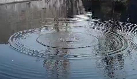 Ȫ