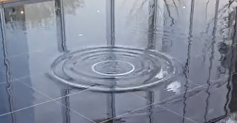 Ȫ