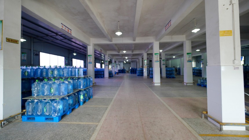 P1038833.jpg