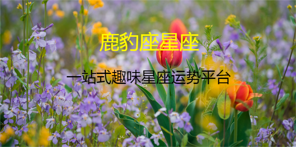 ҳ