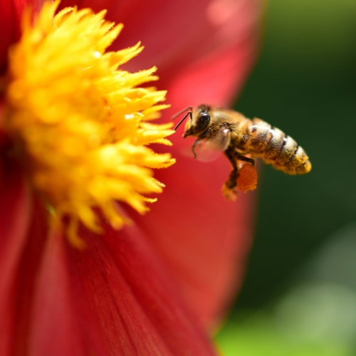 ͼ_501328671_banner_۷ۣҵã.jpg