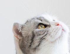 ΢Žͼ_20250511201149.png