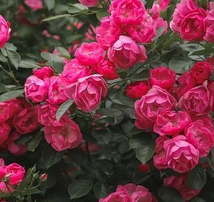 1761356948215429.png 微信截图_20251025094857.png