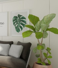 1762135640128874.png 微信截图_20250529125536.png