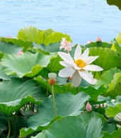 1762233019401653.png 微信截图_20250515202559.png