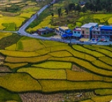 1762445768217100.png 微信截图_20250525014206.png