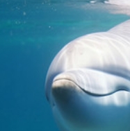 1762963995443542.png 微信截图_20250624145718.png