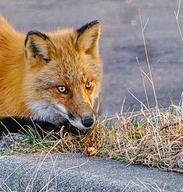 1763940127561048.png 微信截图_20251124072155.png