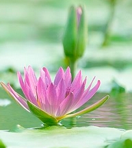 1764001851714249.png 微信截图_20250525225255.png