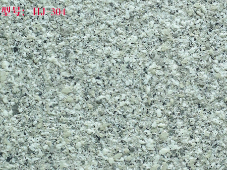 HJ-304.jpg