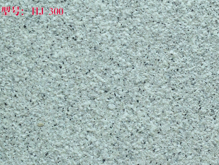 HJ-300.jpg