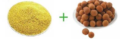 С׹Բ