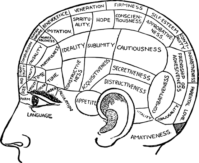 ǿԱڳ.png