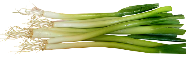 葱
