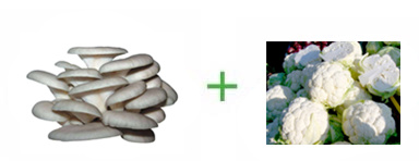 ƽ˻