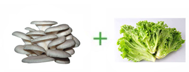 ƽ