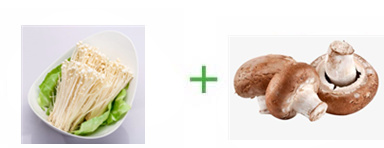 빽Ģ