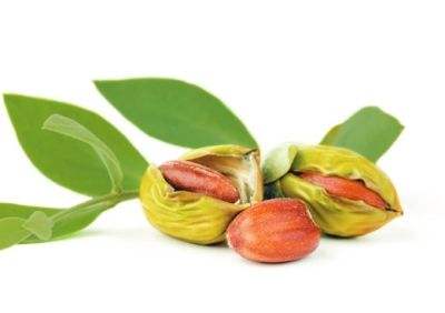 ɺɰJojoba Oil