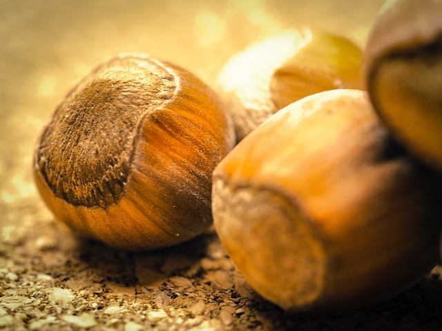 黹Hazelnut Oil