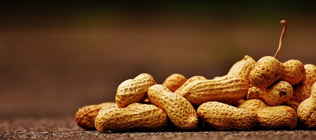 Peanuts Oil