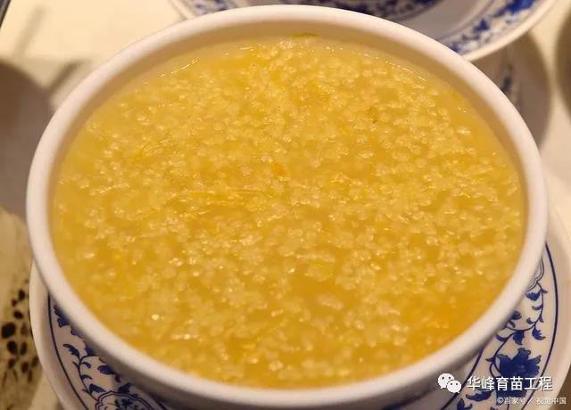 1608881904860636.jpg 微信图片_20201225152255.jpg