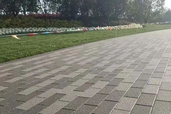 մB͸ˮu.jpeg
