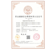 職業(yè)健康安全管理體系證書2023(中文)