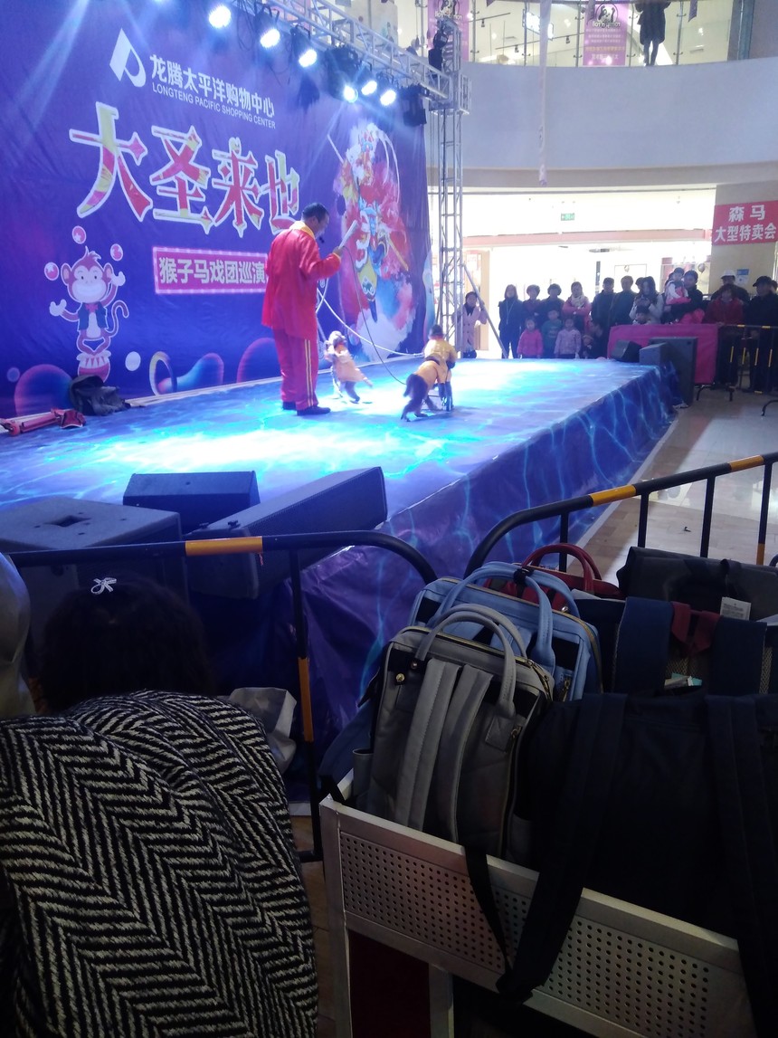 IMG_20181124_114820.jpg