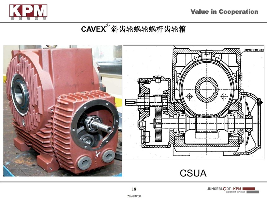 KPM CAVEX��Ʒ2020_17.jpg