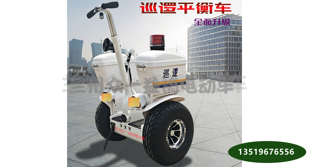 5��SUV �綯Ѳ�߻���