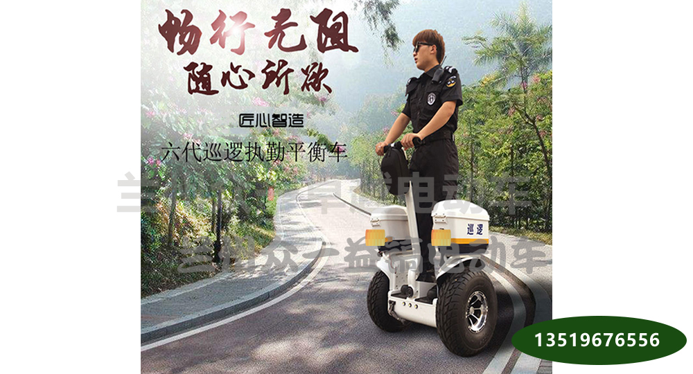 �綯��ƽ��Ѳ�߳�