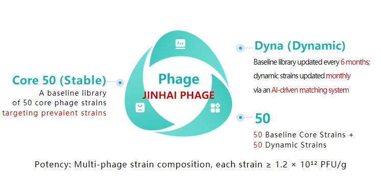 Jinhai Pharma's Phage Dyna Core 50 system explain