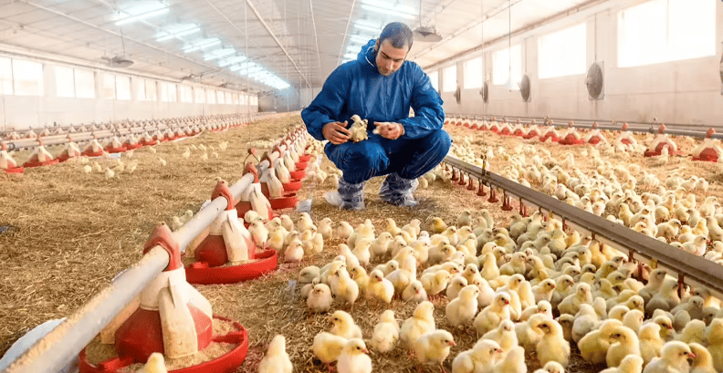 Track sensitive indicators