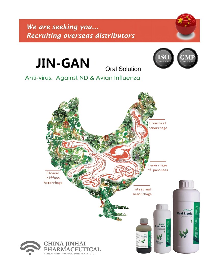 Brochure of JIN‑GAN liquid (AntiViral Defense) from Yantai Jinhai Pharmaceutical