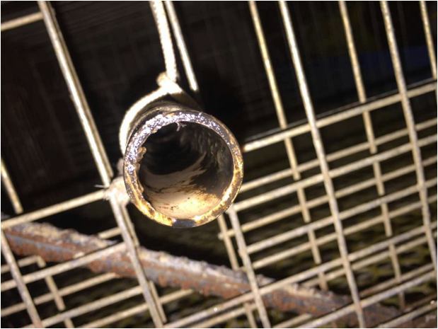 Dirty pipeline with biofilms