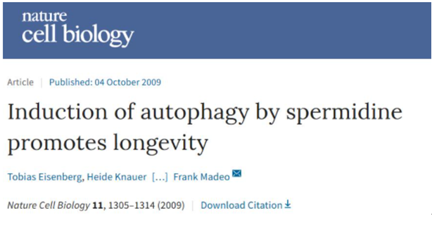 1626157994454462.png 下载.png